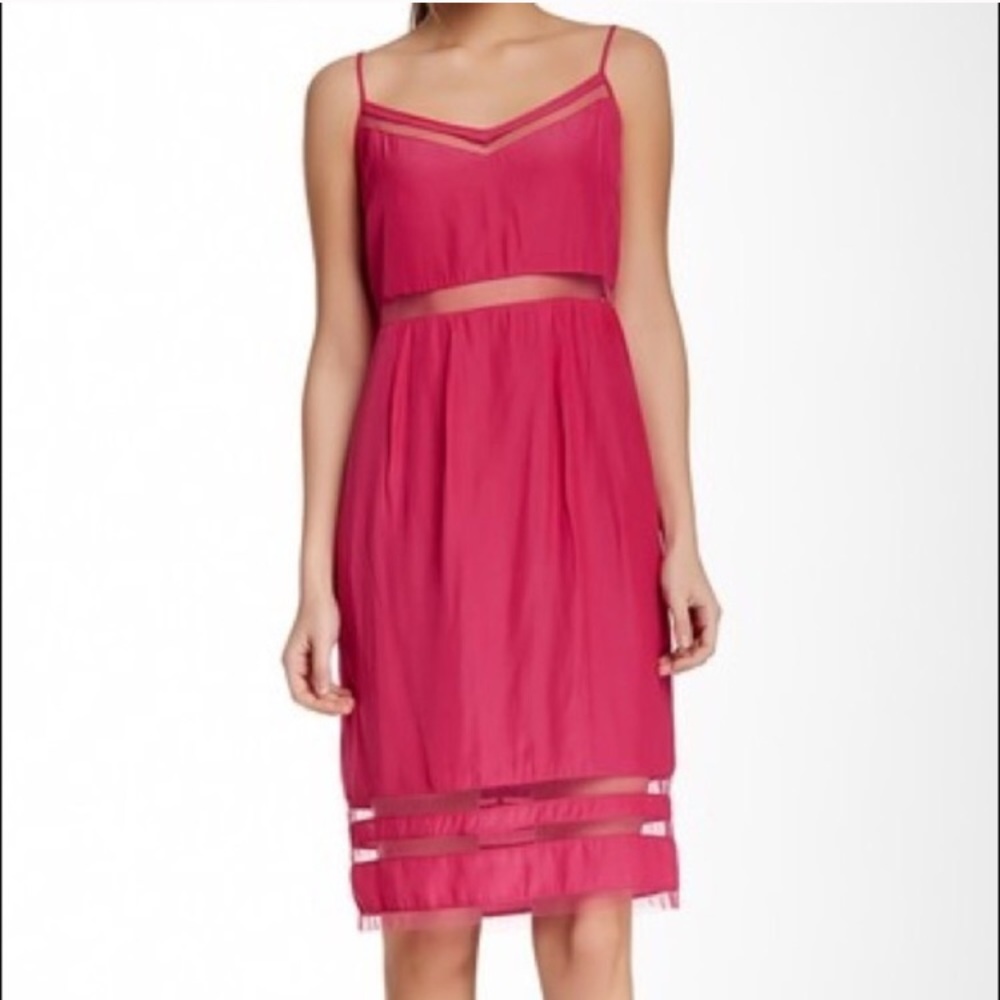 Elizabeth and James Pink Sierra Dress